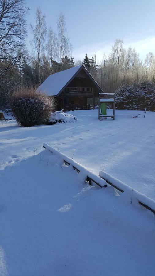 Jaunzemji Villa Dzeņi Exteriör bild