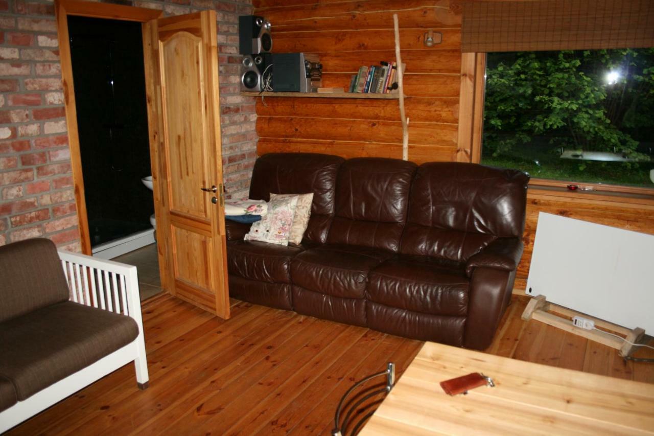 Jaunzemji Villa Dzeņi Exteriör bild