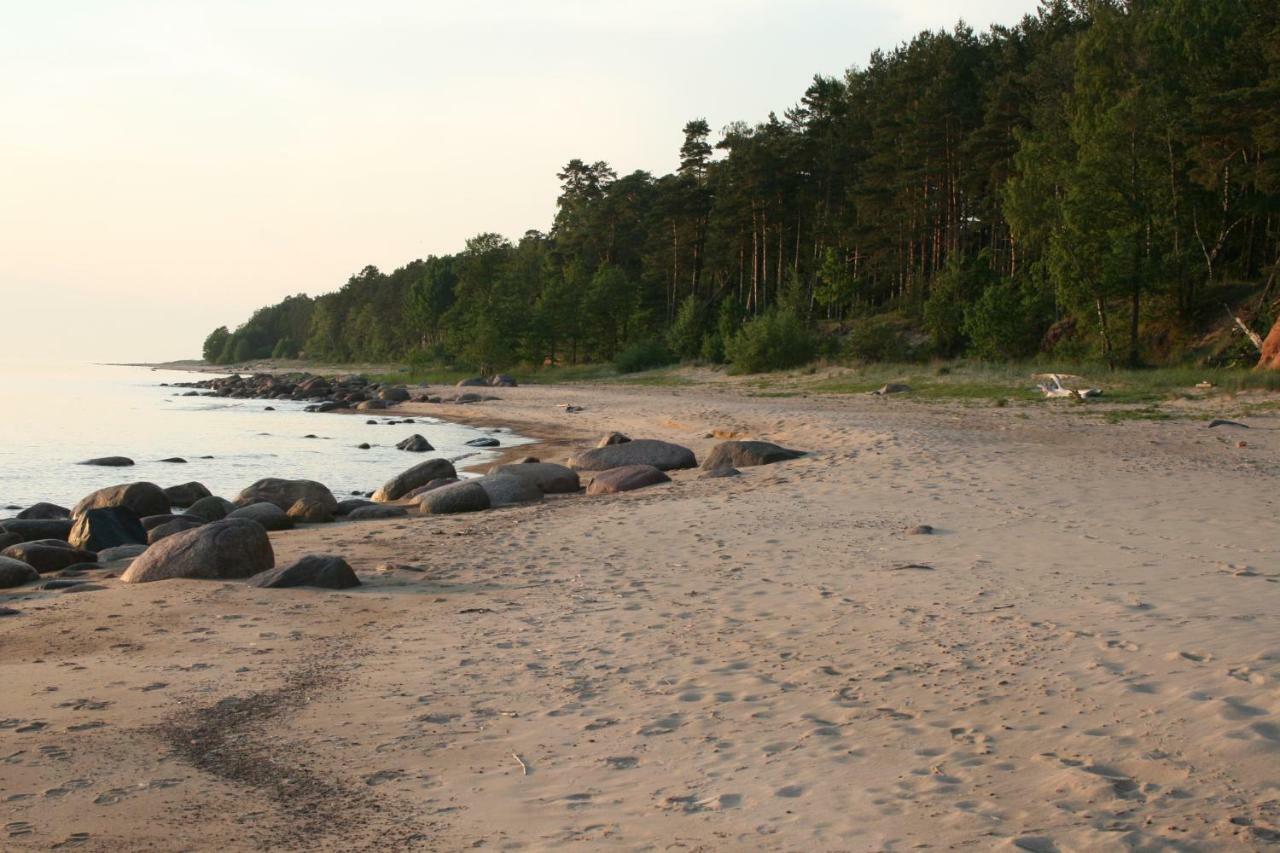 Jaunzemji Villa Dzeņi Exteriör bild