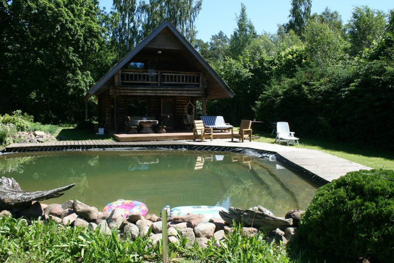 Jaunzemji Villa Dzeņi Exteriör bild